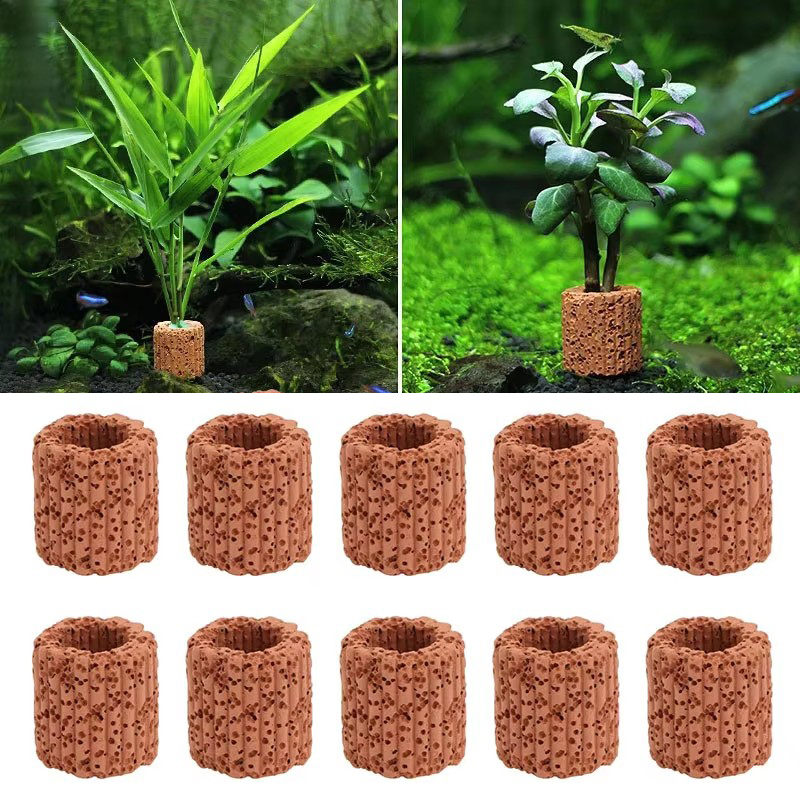 Aquarium Innovative Marine - Aquatic Plant Fixed Ring for Aquarium