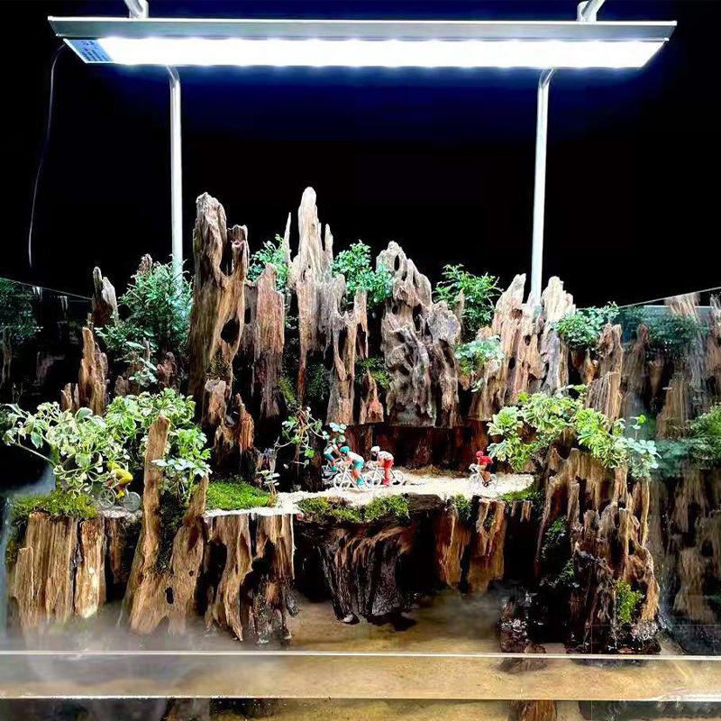 Aquarium Innovative Marine - Shrimp Wood Aquarium Decor, Driftwood Water