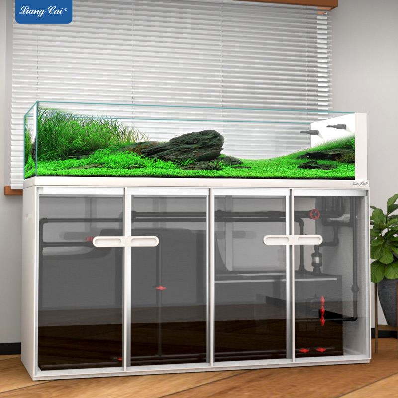Aquarium Marine Fish For Sale - Large Modern Style Glass Fish Tank