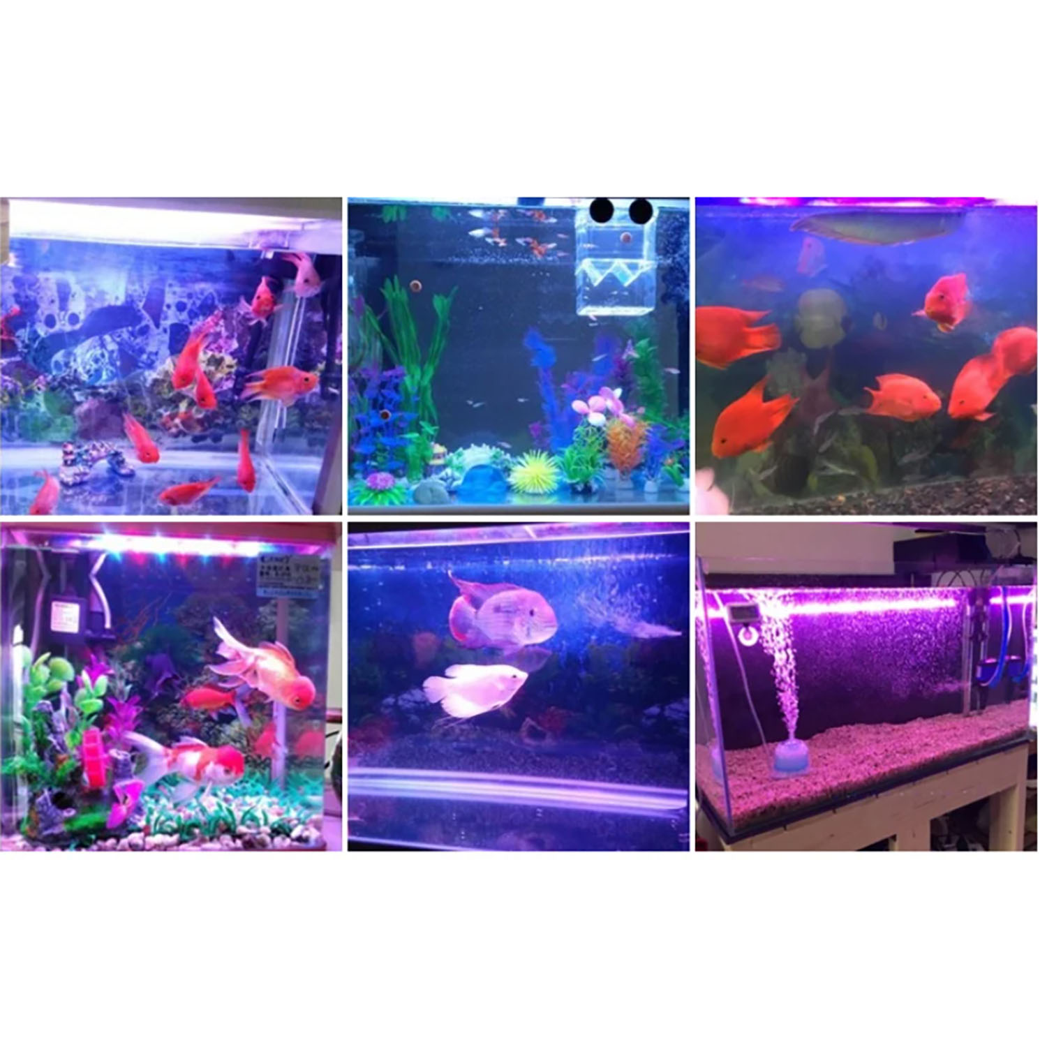 Marine Aquarium Uv Light - 50W 60W 70W 100W RGB 26-28V