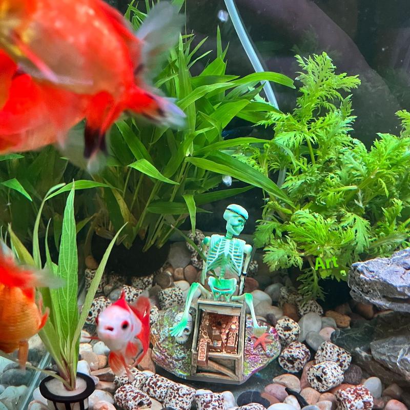 Fish Tank Aerobic Landscape Bu - Aquarium Innovative Marine review and price