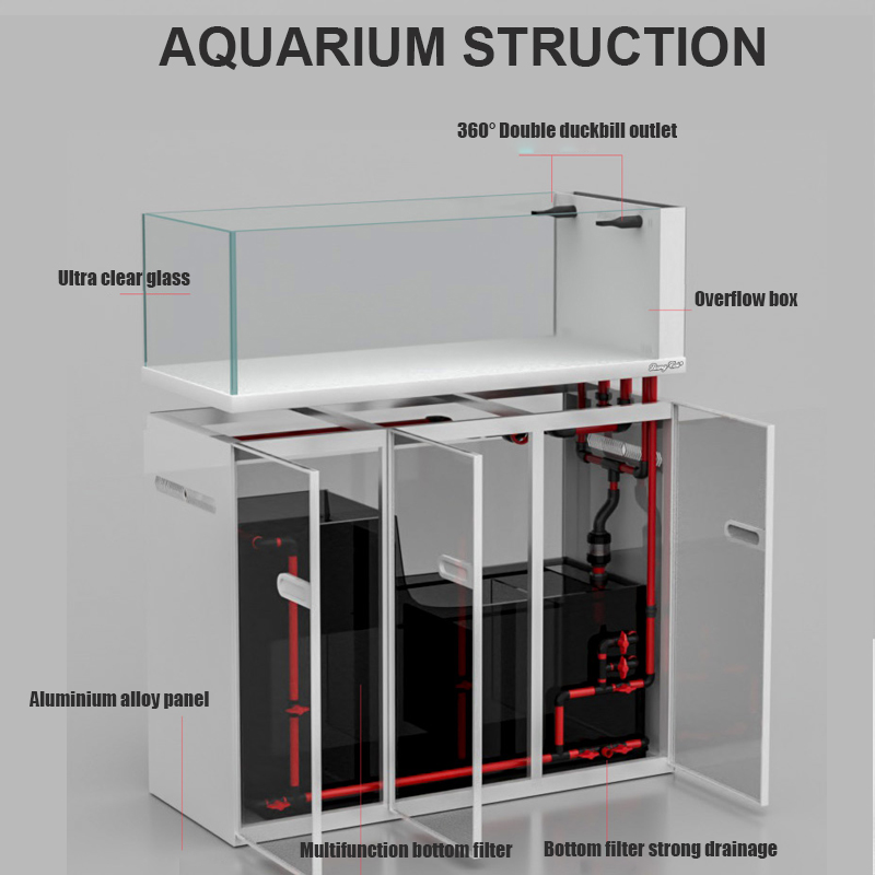 Large Modern Style Glass Fish  - Aquarium Marine Fish For Sale review and price