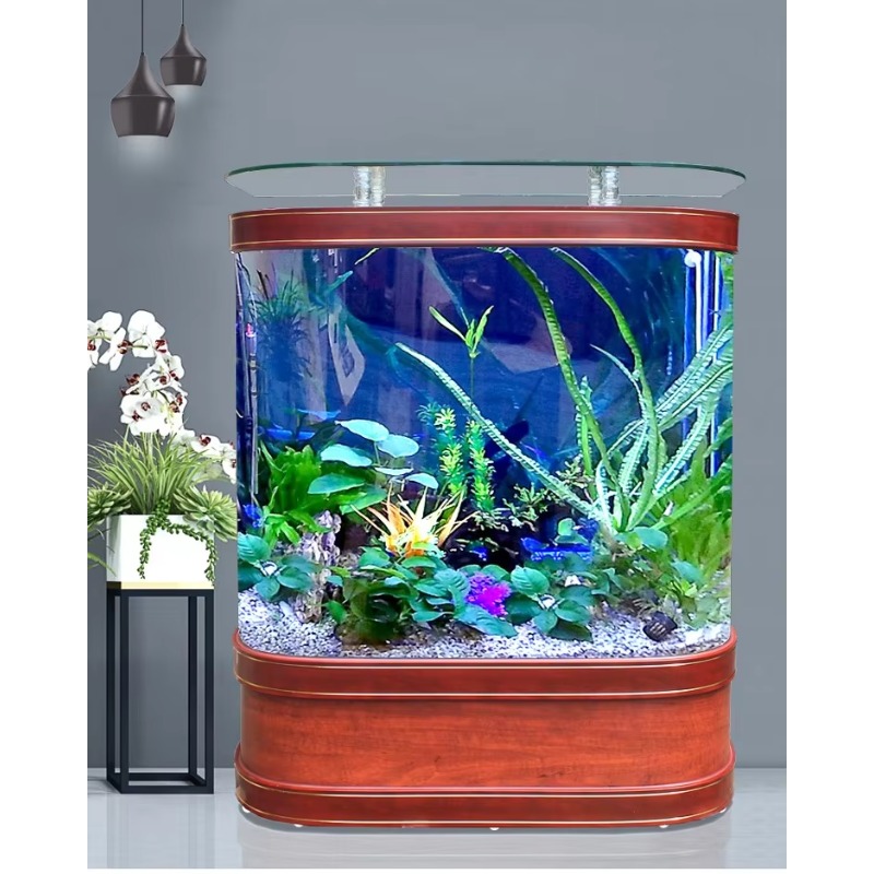 Marine Large 200 Gallon Fish A - Aquarium Marine Fish For Sale review and price