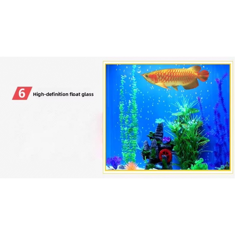 Marine Large 200 Gallon Fish A - Aquarium Marine Fish For Sale review and price