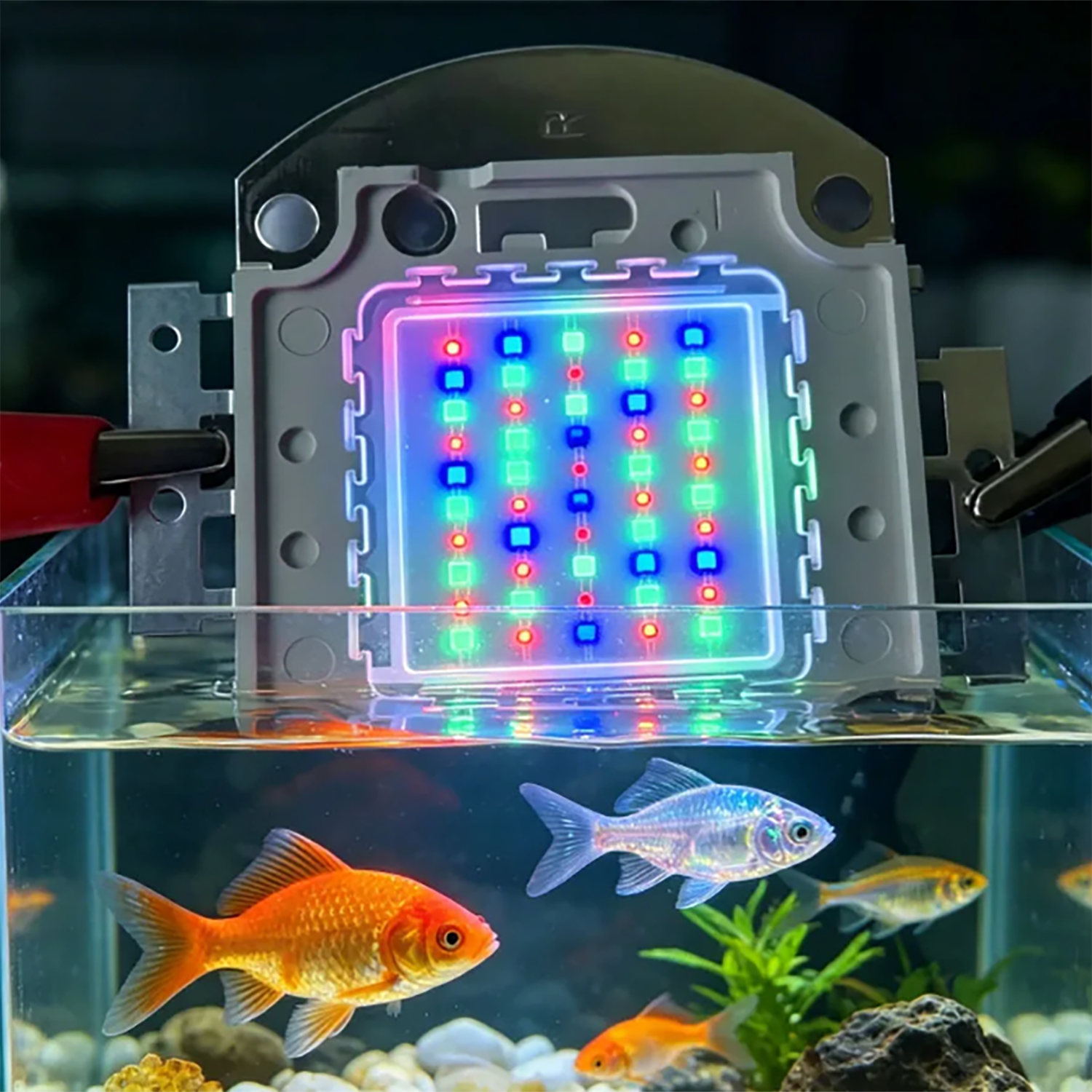 50W 60W 70W 100W RGB 26-28V Hi - Marine Aquarium Uv Light review and price
