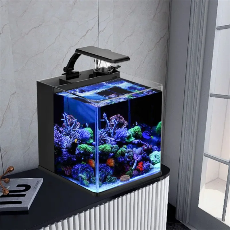 Hot sales Ultra Clear Glass Mi - Aquarium Marine Fish For Sale review and price