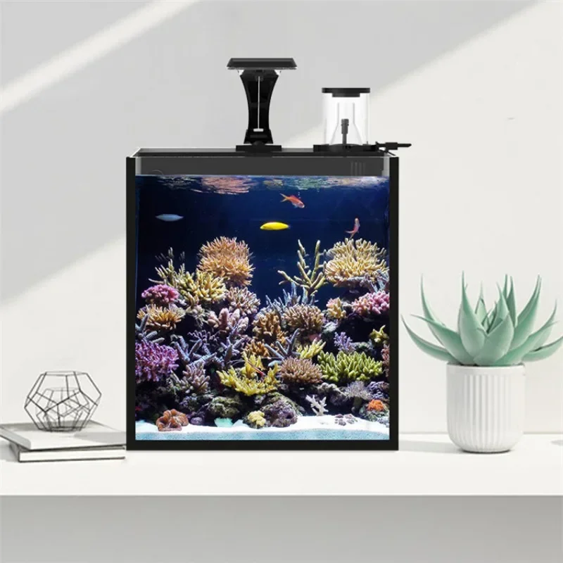 Hot sales Ultra Clear Glass Mi - Aquarium Marine Fish For Sale review and price