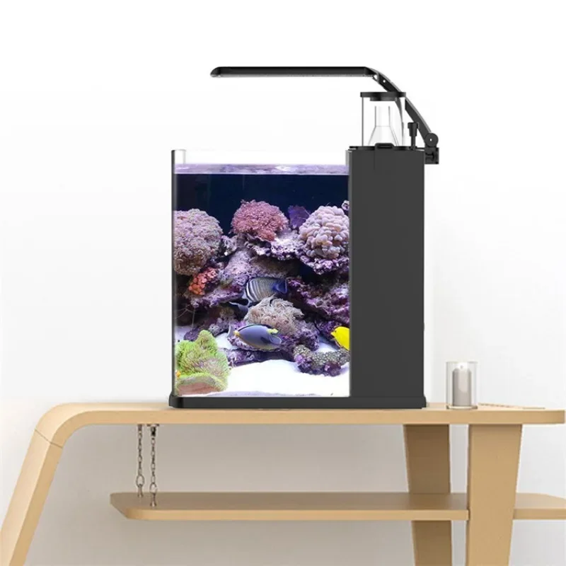 Hot sales Ultra Clear Glass Mi - Aquarium Marine Fish For Sale review and price