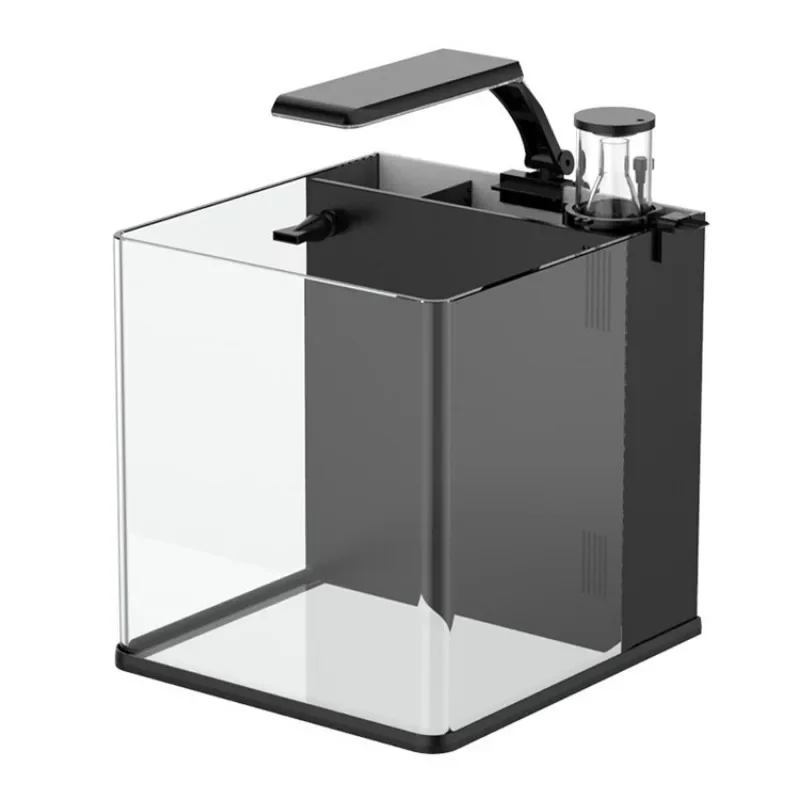 Hot sales Ultra Clear Glass Mi - Aquarium Marine Fish For Sale review and price