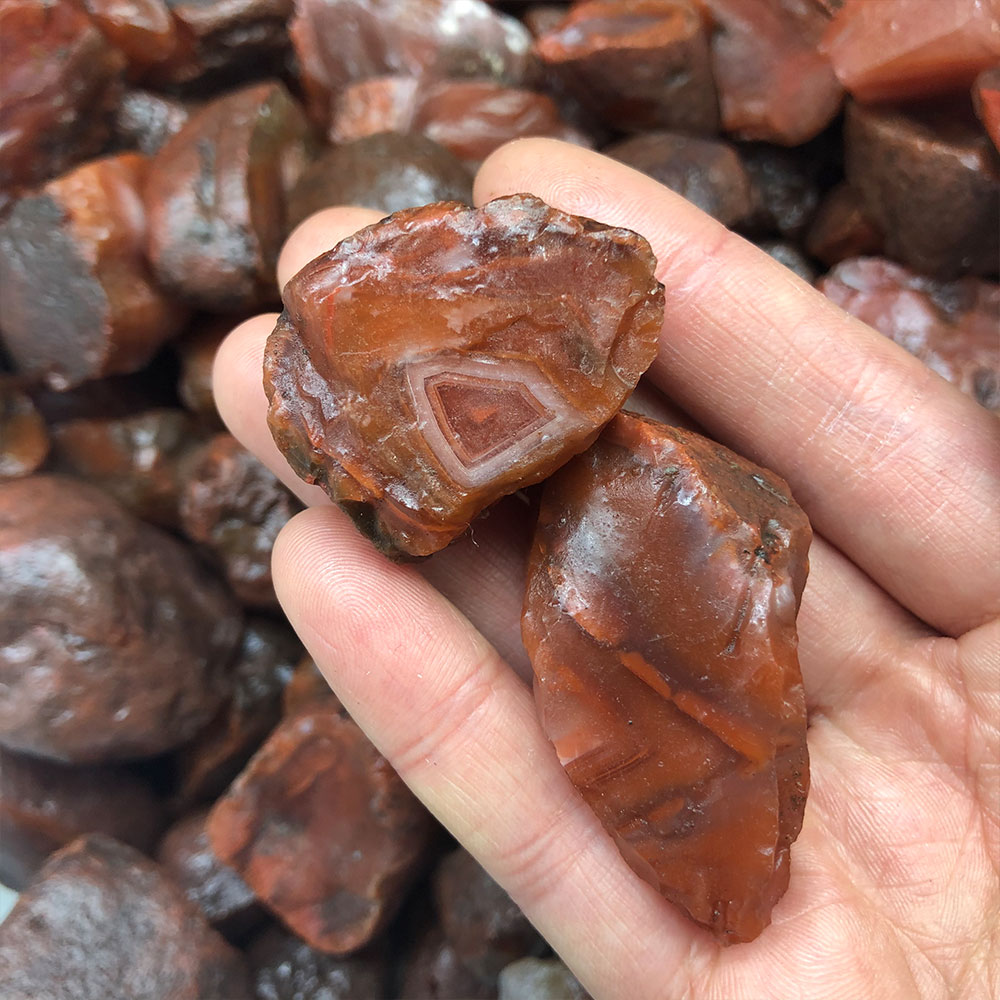1pc Random Rough Raw Carnelian - Aquarium Innovative Marine review and price
