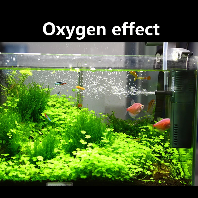 SUNSUN mini nano 111B 311B 611 - Marine Aquarium Uv Light review and price